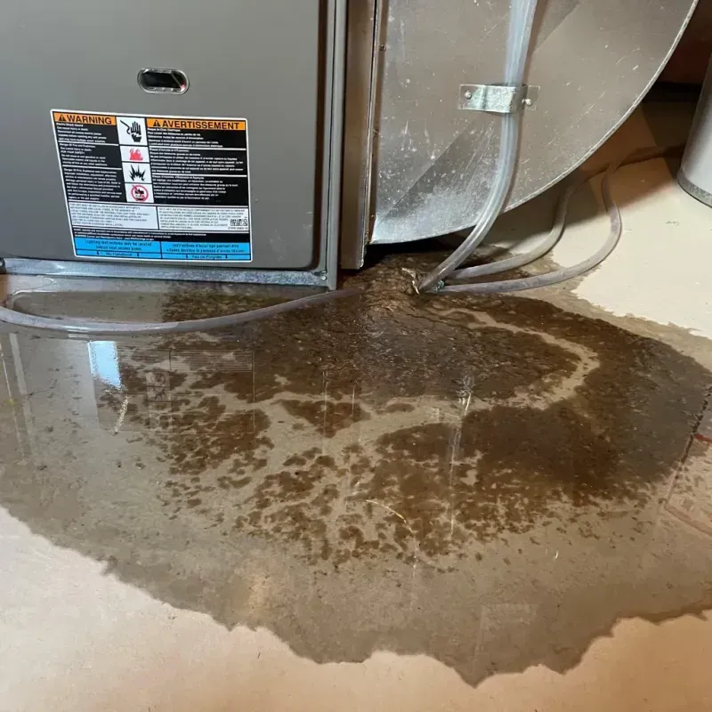 Appliance Leak Cleanup in Casey, IL